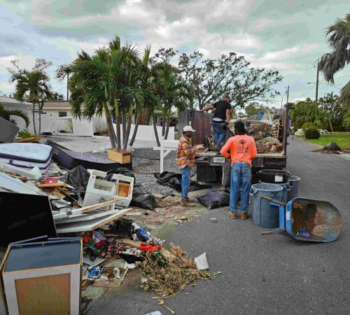 Yard clean up St. Petersburg