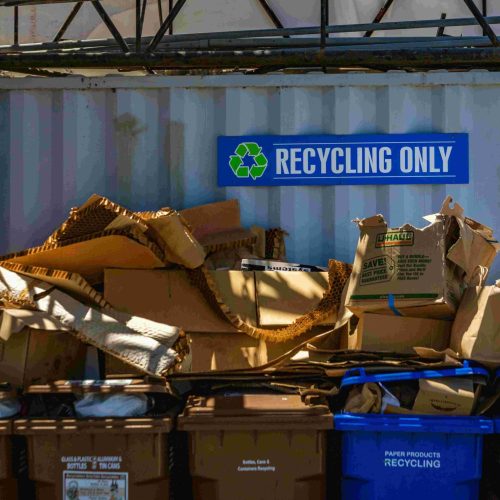 cardboard recycling in St. Petersburg