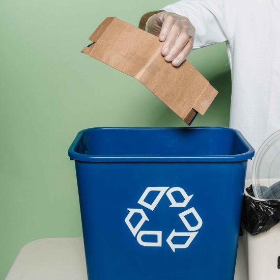 cardboard recycling in St. Petersburg