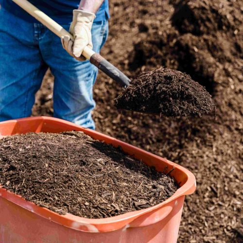 mulch compost removal St. Petersburg