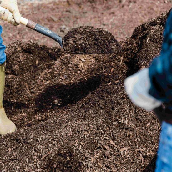 mulch compost removal St. Petersburg