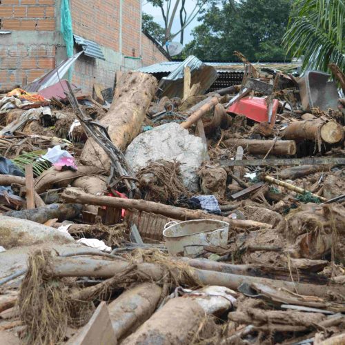 wood debris removal St. Petersburg FL